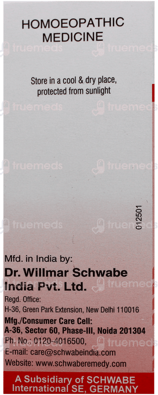 Dr Willmar Schwabe Thuja Occidentalis 30Ch Dilution 30Ml